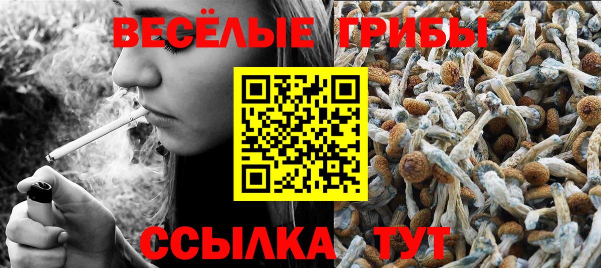 Галлюциногенные грибы Psilocybine cubensis  Галлюциногенные грибы мухоморы  купить наркоту  Вход с VPN  Оренбург 