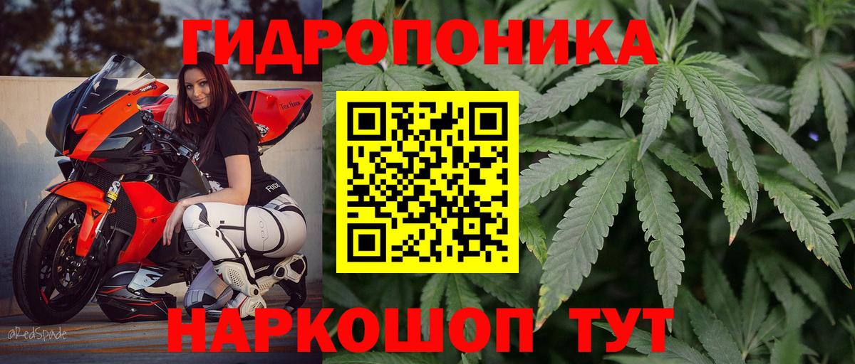 Шишки марихуана семена Оренбург